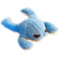 Super Frog Toy