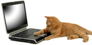 cat-laptop-300x148.jpg